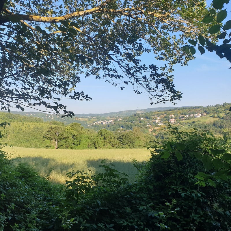 20190620_074930.jpg