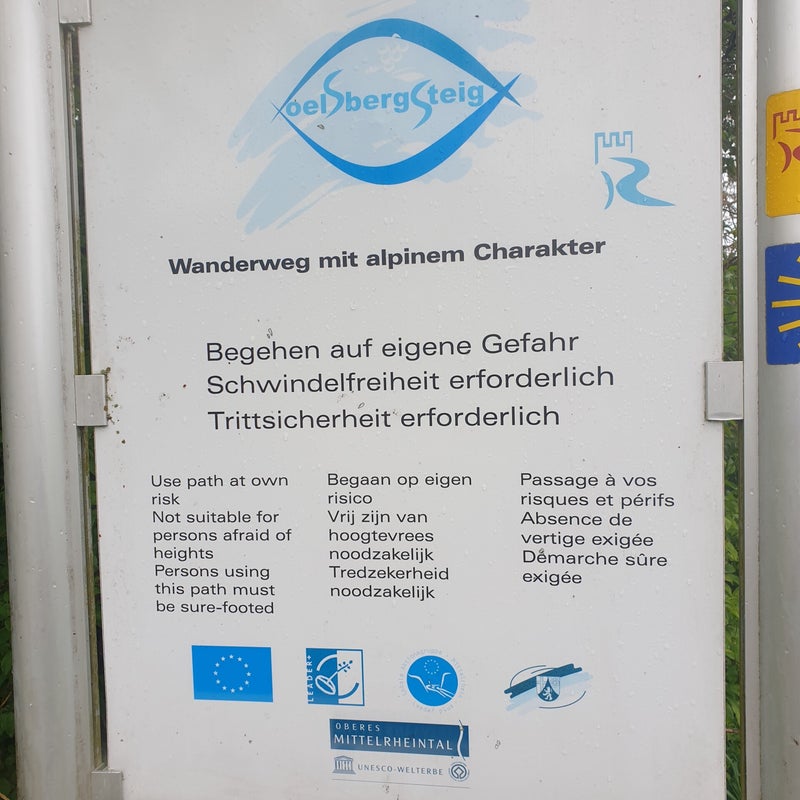 20190426_084914.jpg