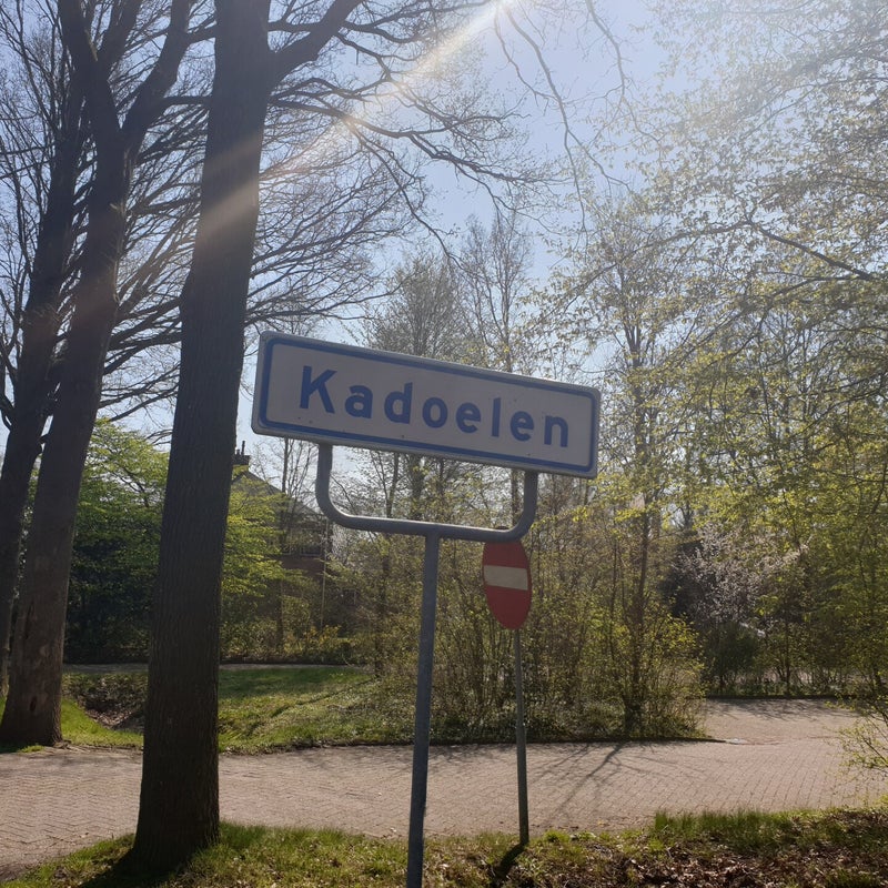 20190408_135800.jpg