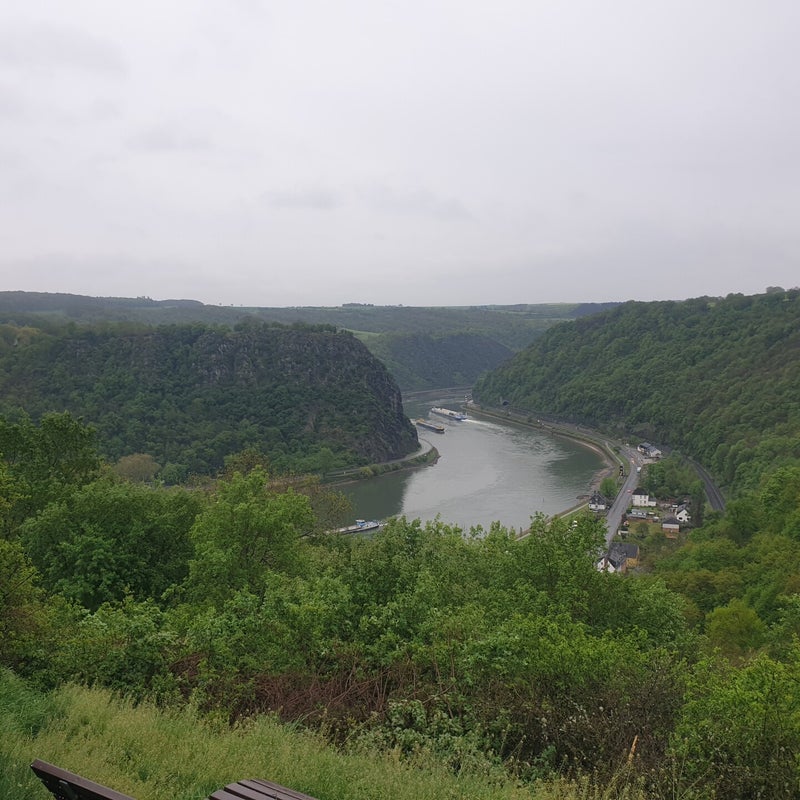 20190426_074011.jpg