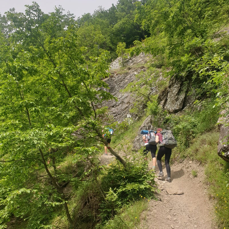 20190610_113225.jpg