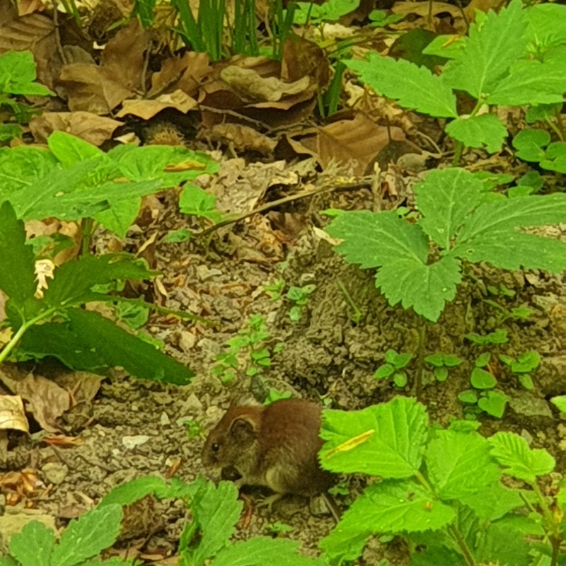 20190424_135529.jpg