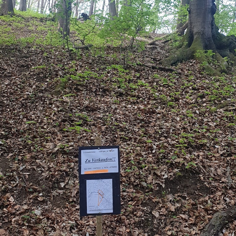 20190424_085708.jpg