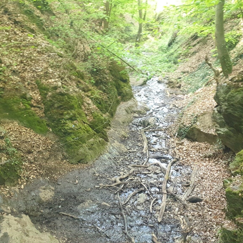 20190424_115057.jpg