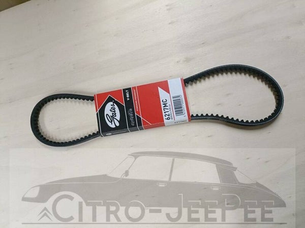 V - snaar dynamo 1966 - 1967