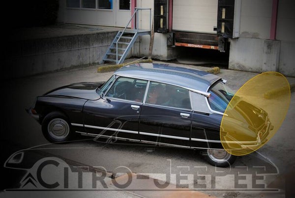 Kofferdeksel-klep Polyester  Berline