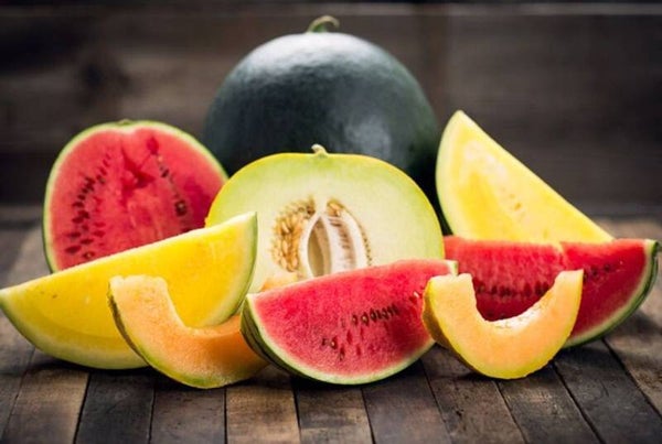 Pastèque/Melon