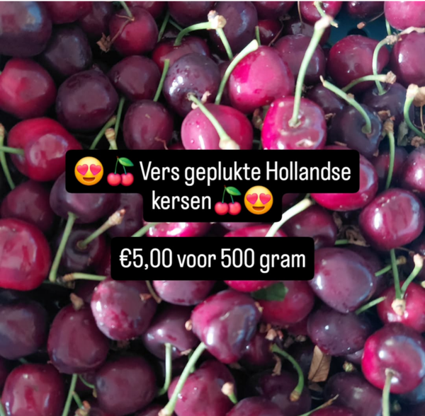 Kersen