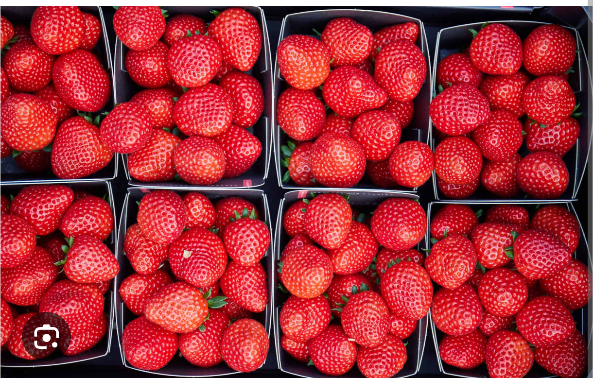 Aardbeien
