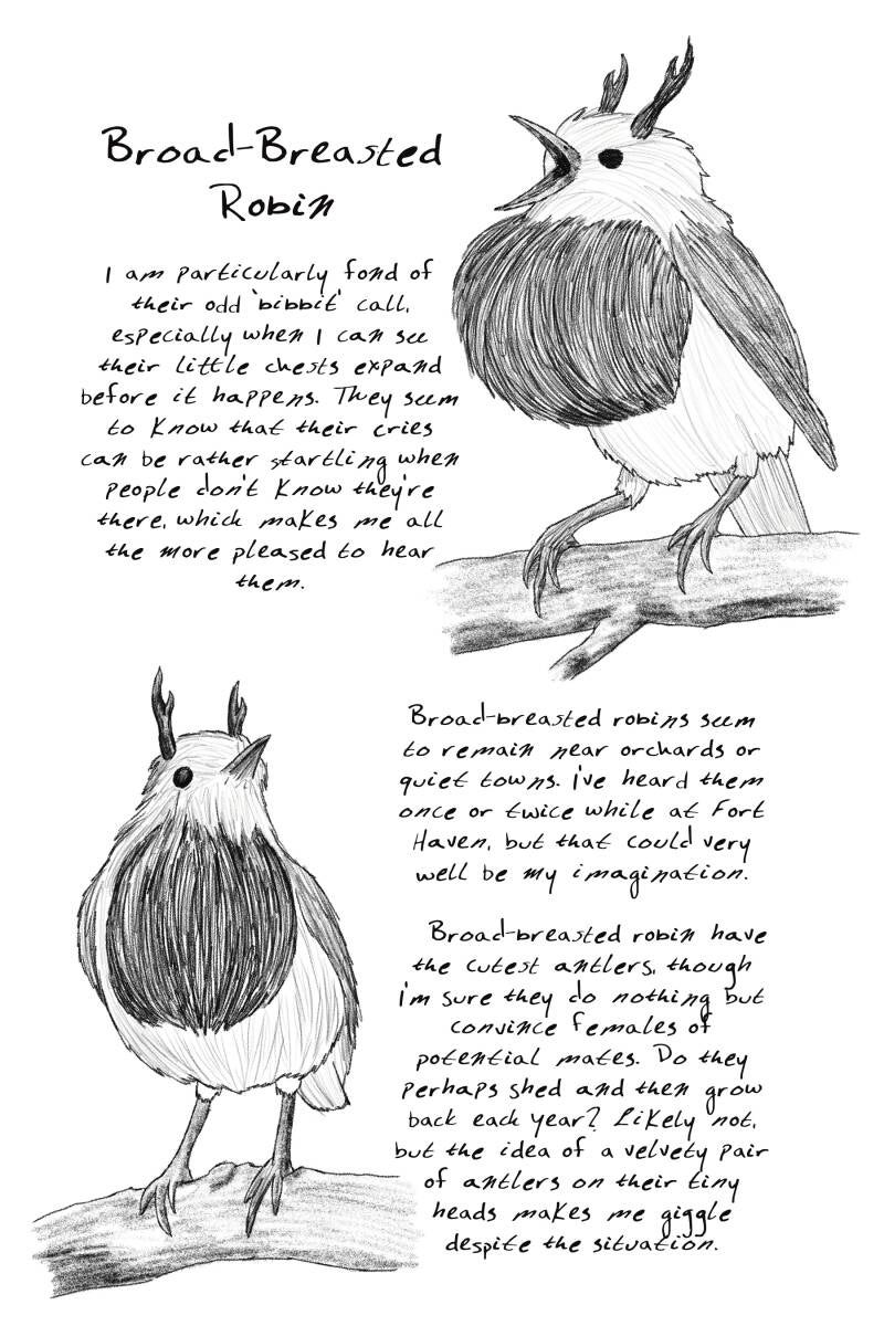16_robin-standard.jpg
