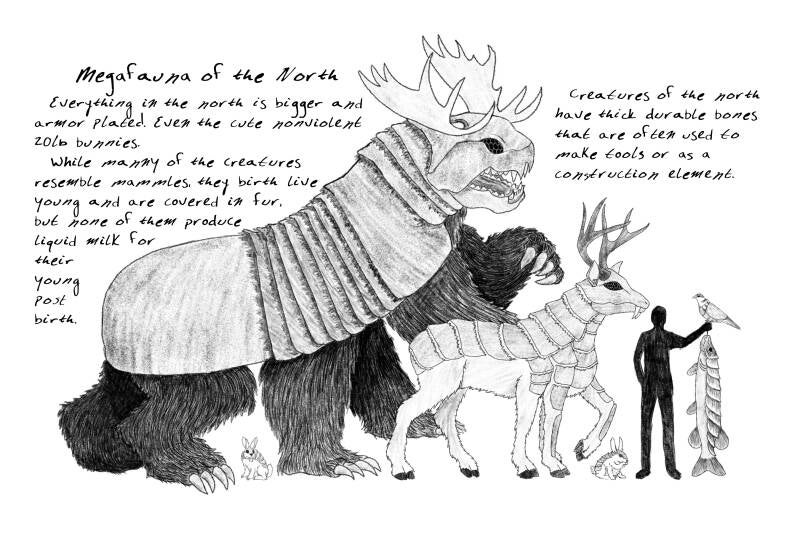 Northern Animals
