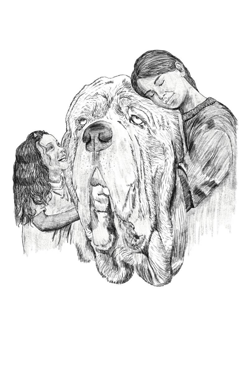The Sheepdog