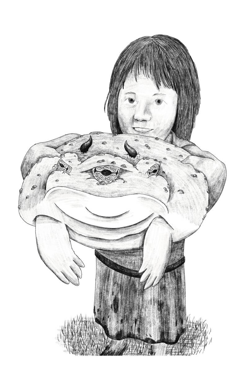 Frogs