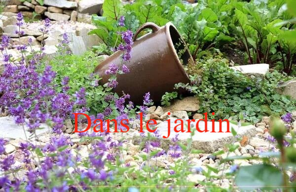 Dans le jardin
