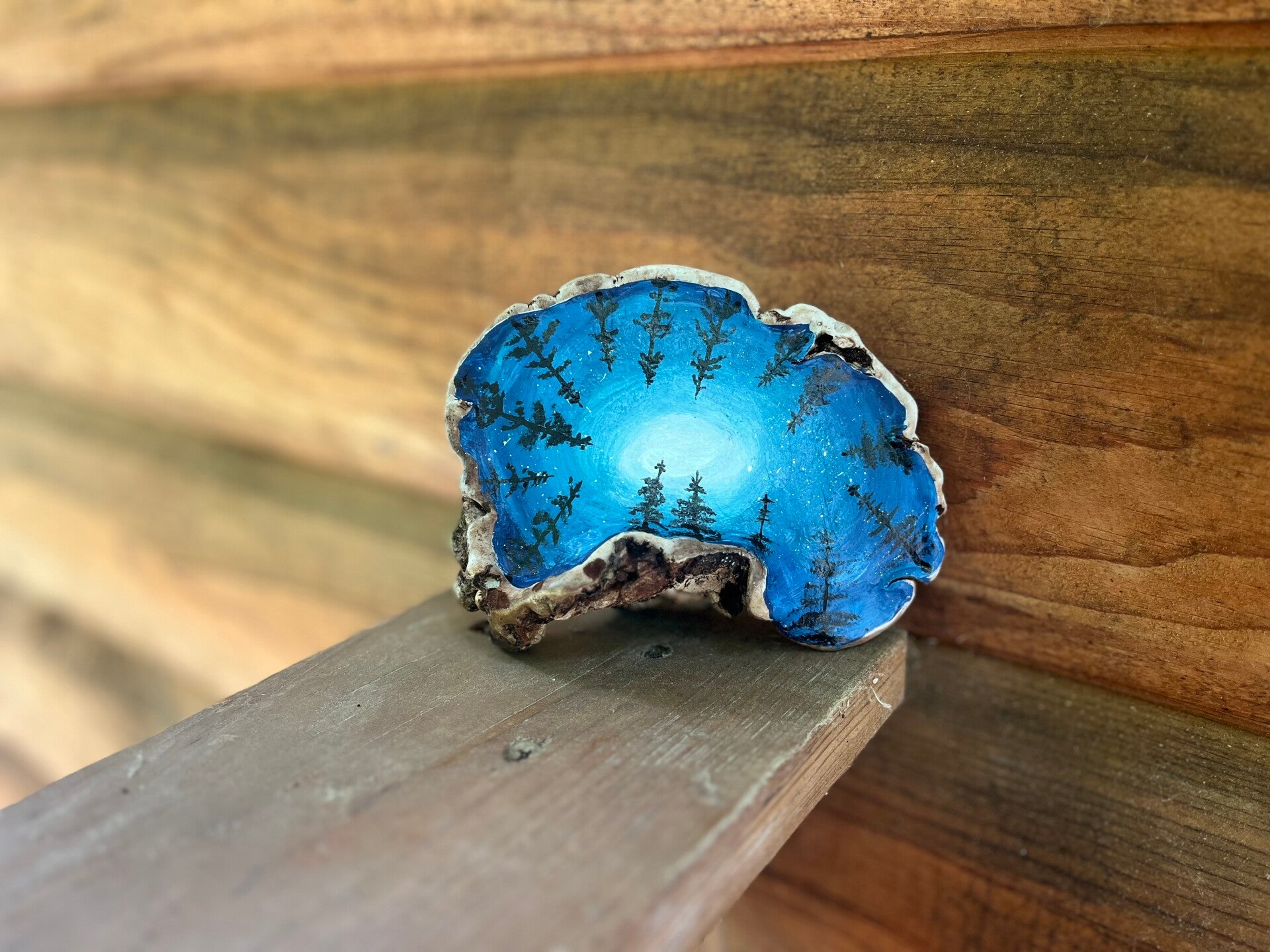 Stars Between the Pines