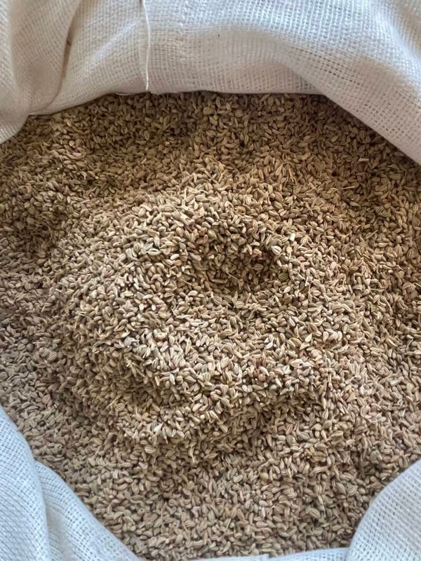 Ajowan 50g