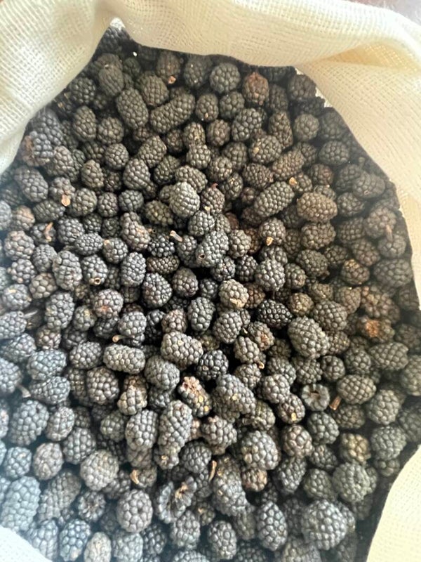 Poivre sauvage de l'Assam 50g