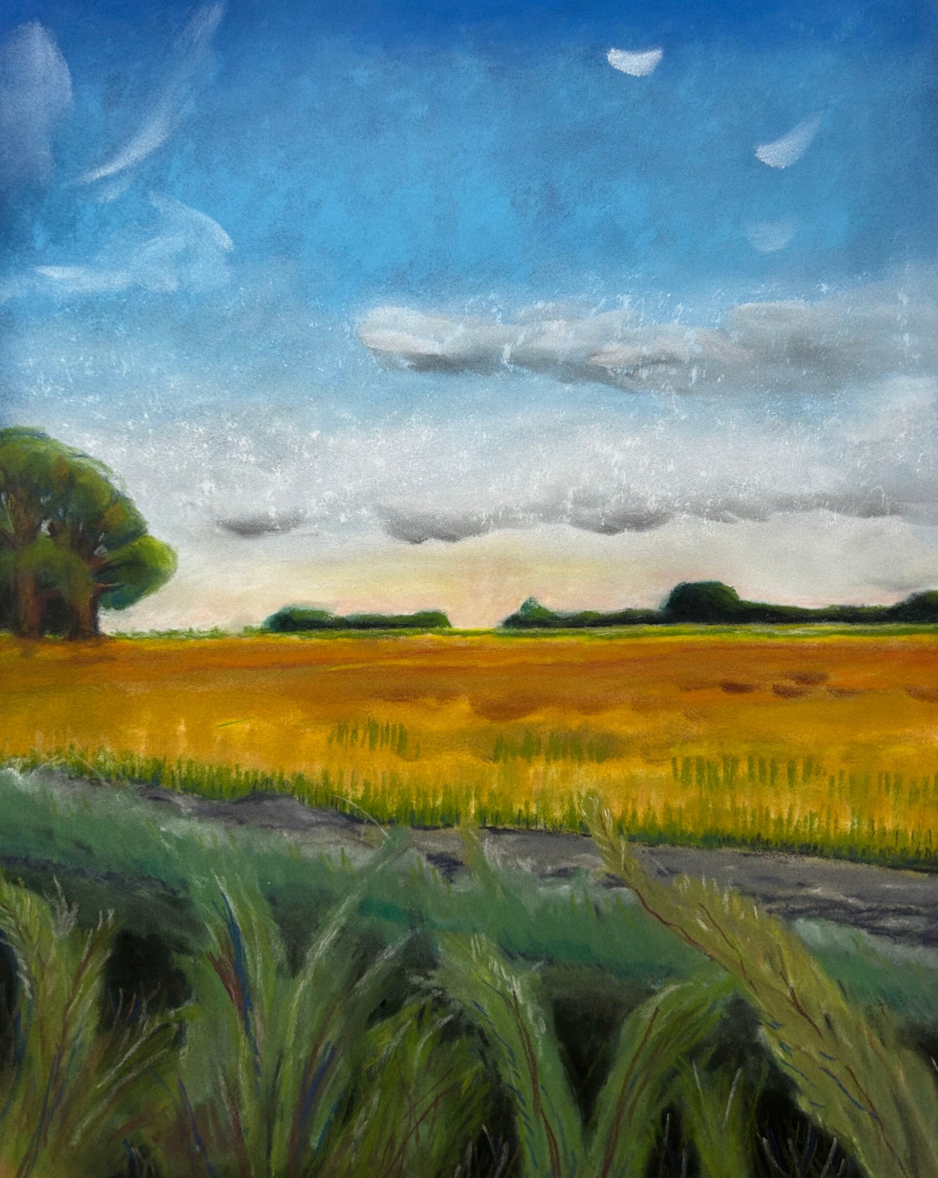 Polderlandschap
