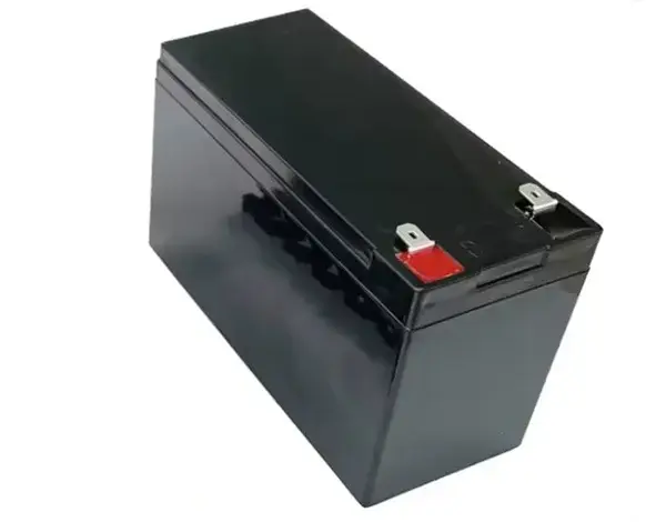 Lithium-ion voerbootaccu 12V 21Ah + Luxe oplader.