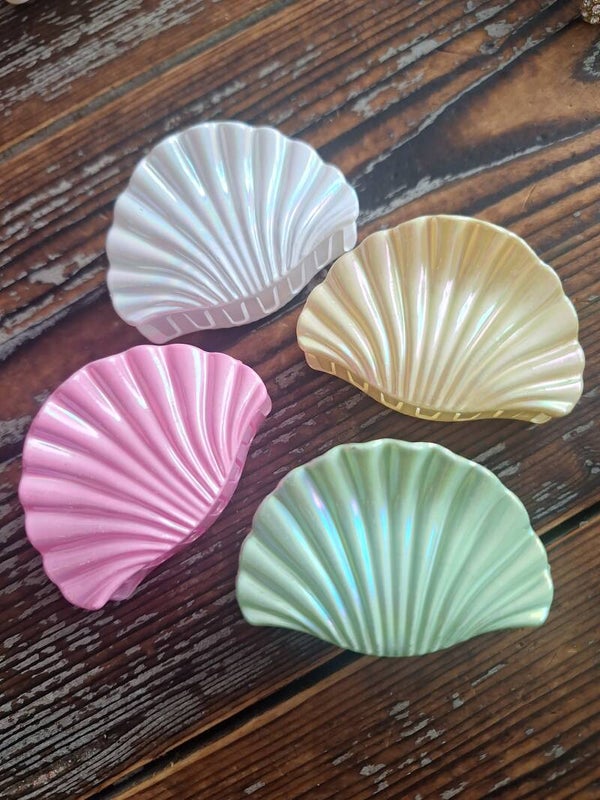 Haarklem schelp
