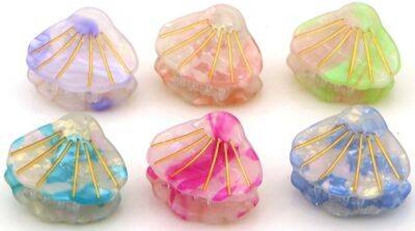 Schelp klemmetjes