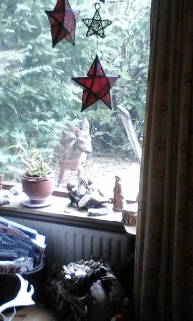 Herten in de tuin Sylvia P56