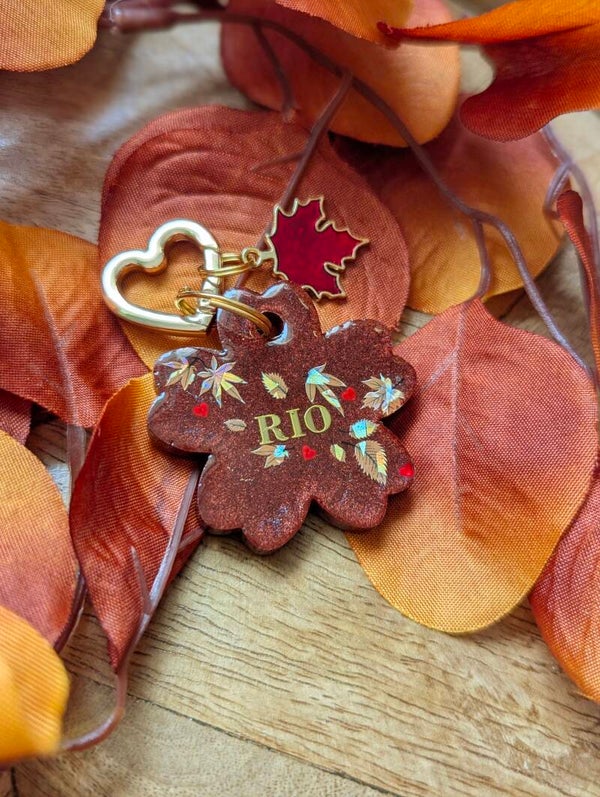 Douceur d'automne 🍂