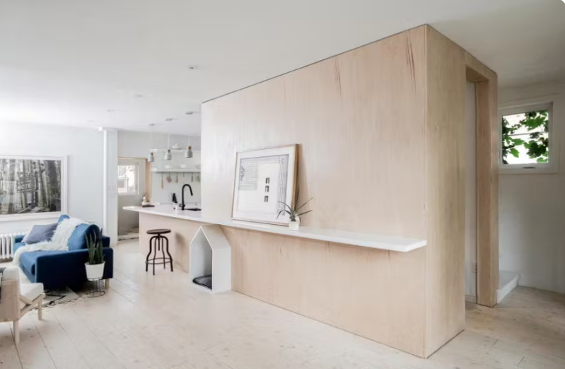 équipement haut de gamme pour animaux