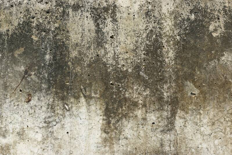 Murs humides