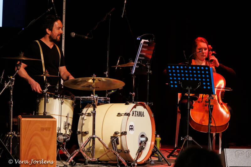 Bazeingha By Howard: Rimbert en Stien