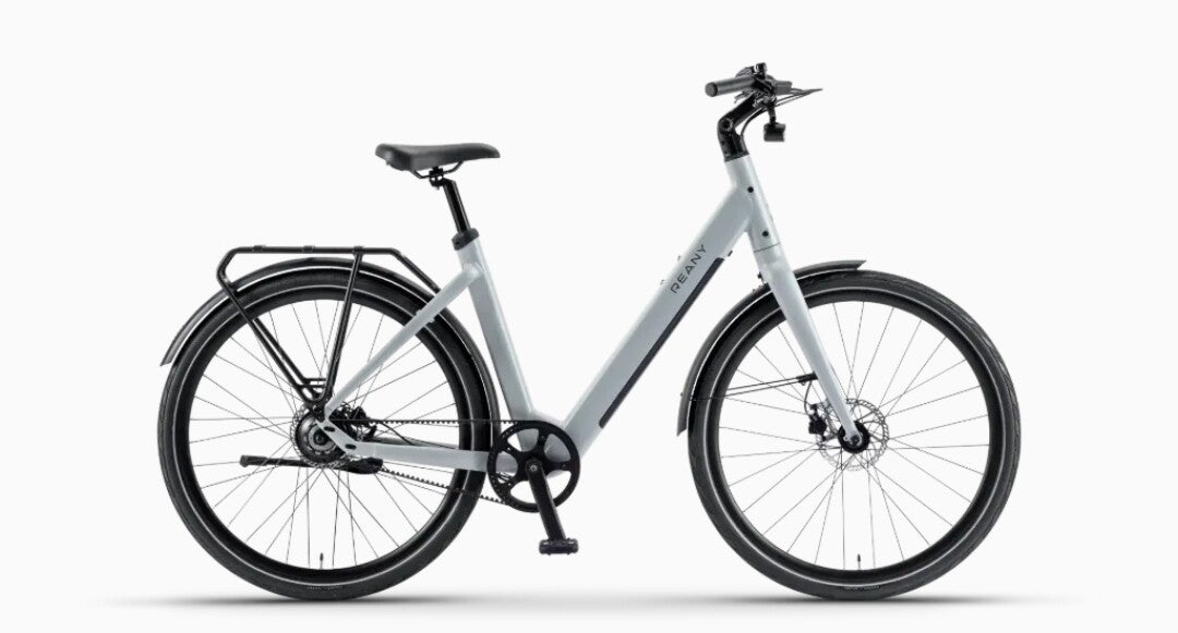 Reany v1 vivo +fresh grey 12504