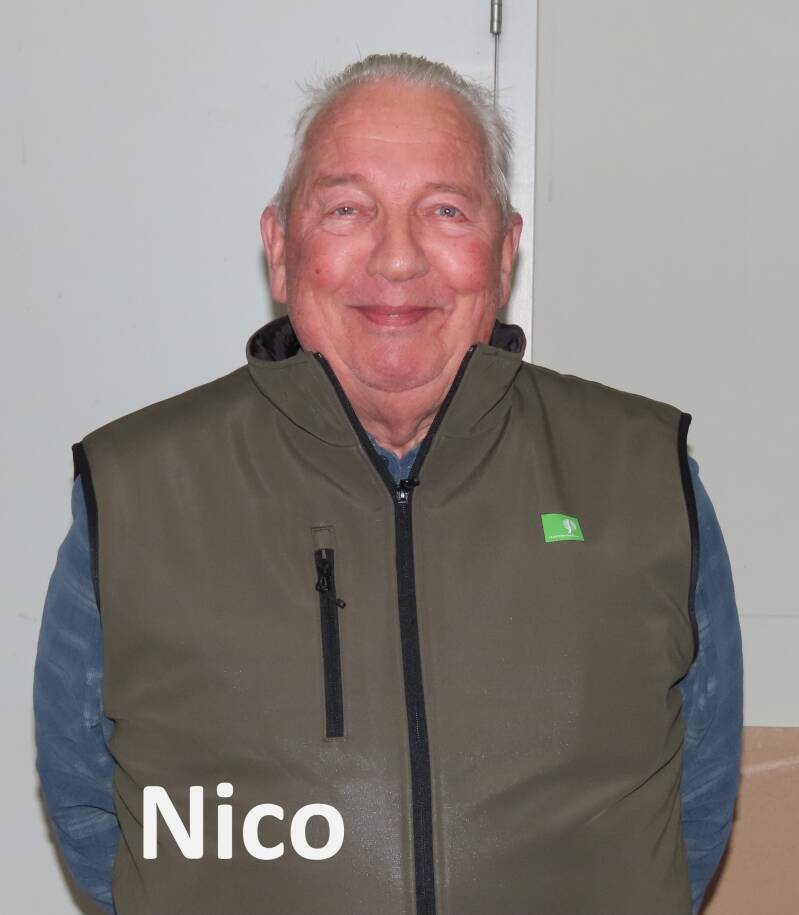nico-standard.jpg