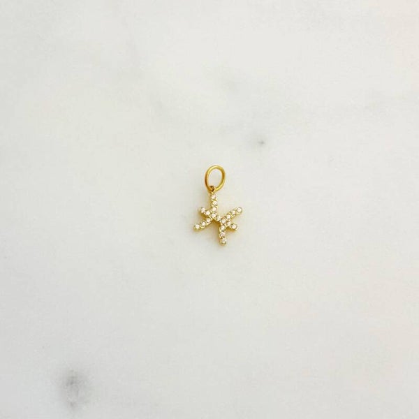 PISCES CHARM