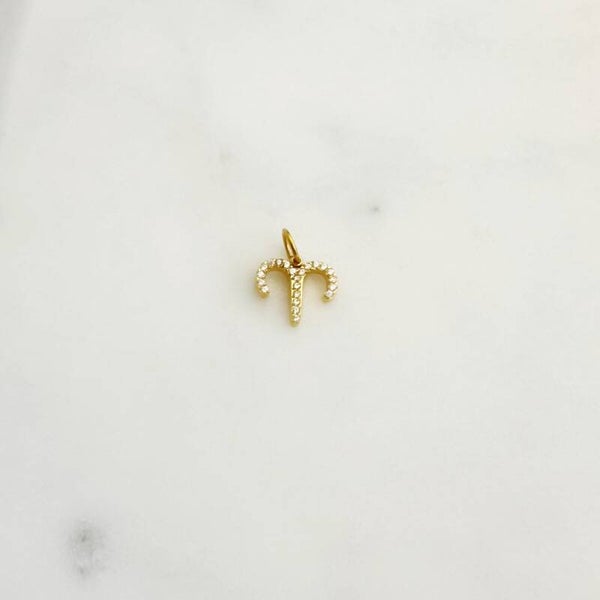 ARIES CHARM