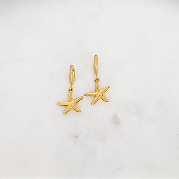 B2B MINI HOOPS BIG STARFISH