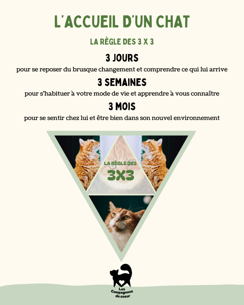 template instagram post prévention
