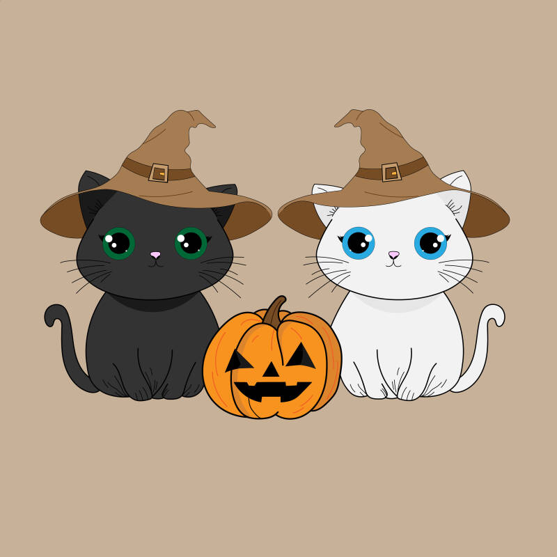 chaboo et son ami - chat noir et chat blanc ensemble avec chapeau de sorcier et une citrouilles entre eux