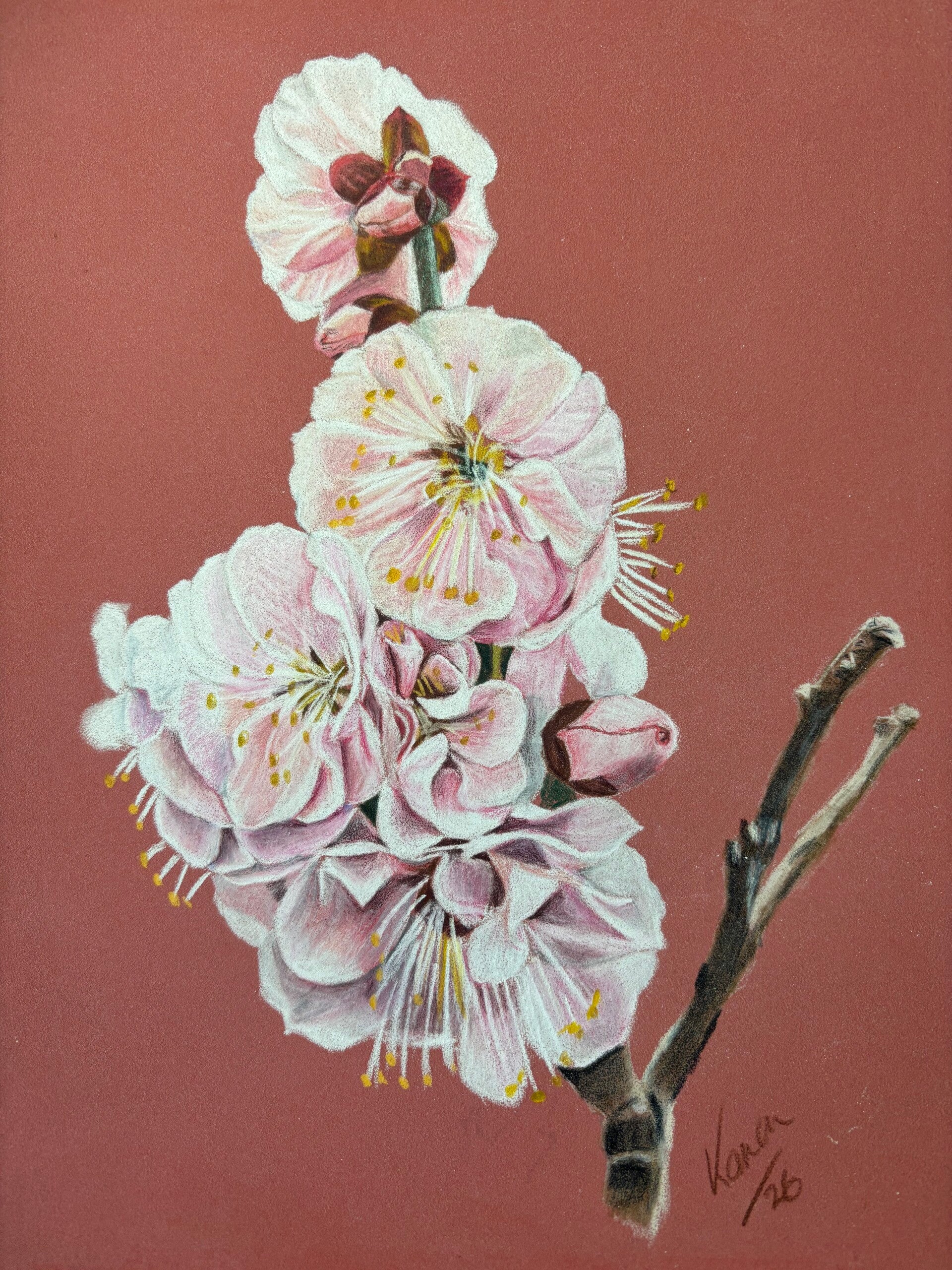Cherry blossom print