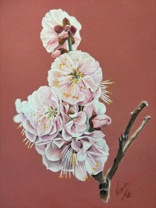 Cherry blossom print
