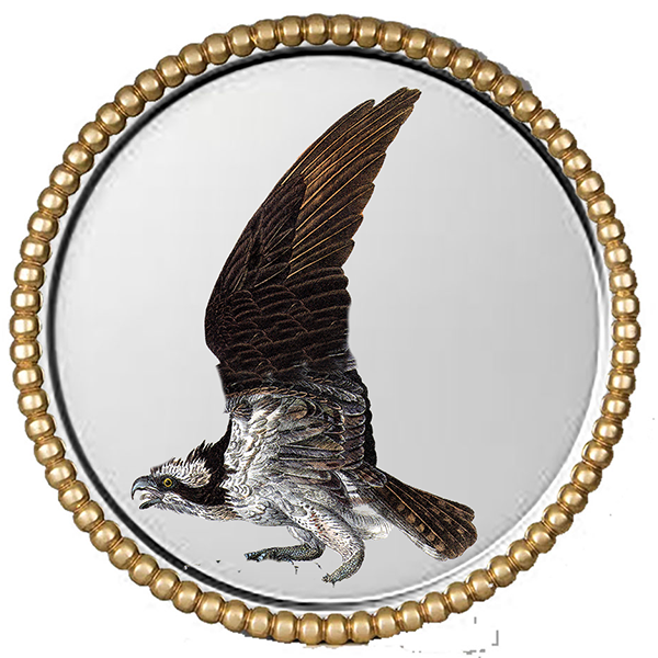 Audubonr Silver Round II