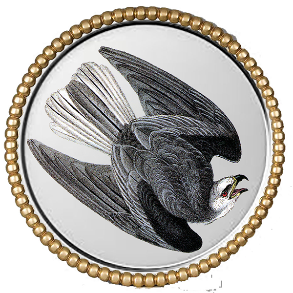 Audubonr Silver Round III