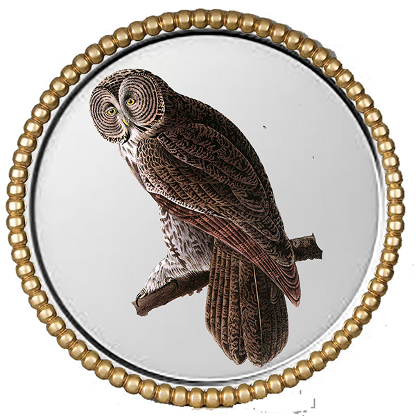 Audubonr Silver Round IV