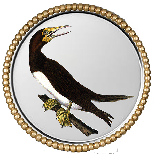 Audubonr Silver Round V