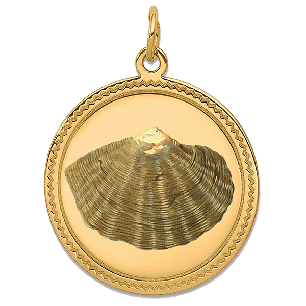 Sea Shell Gold Pendant I
