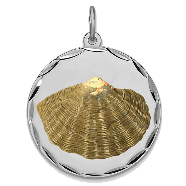 Sea Shell Silver Pendant I