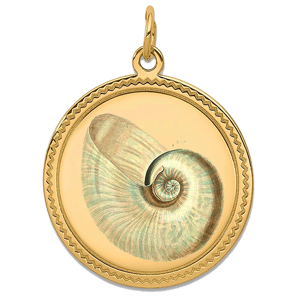 Sea Shell Gold Pendant III