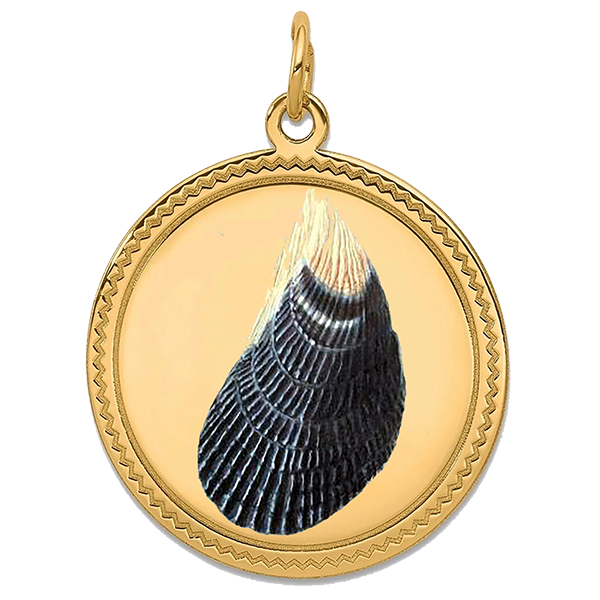 Sea Shell Gold Pendant V