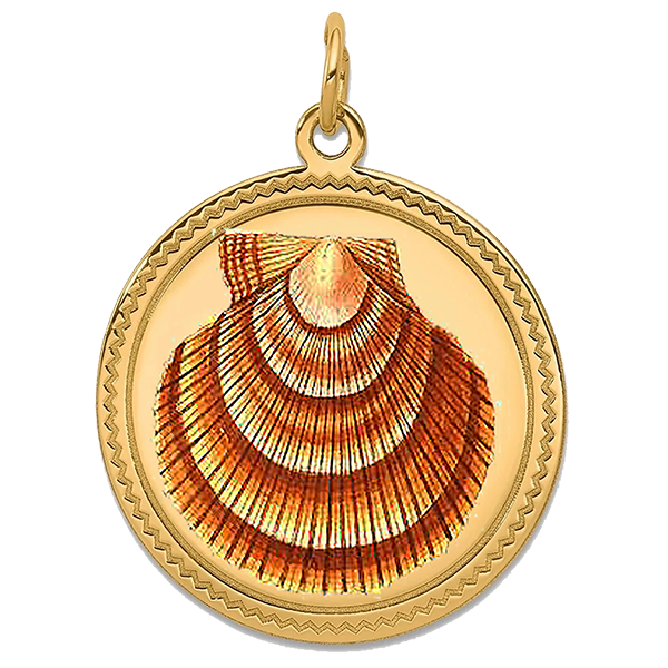 Sea Shell Gold Pendant VIII