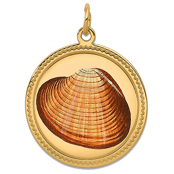 Sea Shell Gold Pendant IX