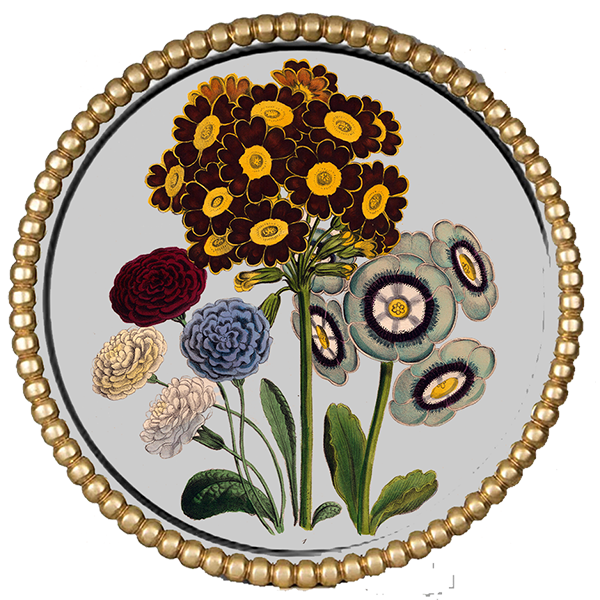 Flower Silver Round I